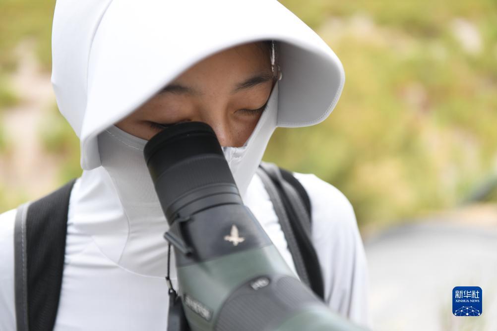 九五至尊vi所有网站